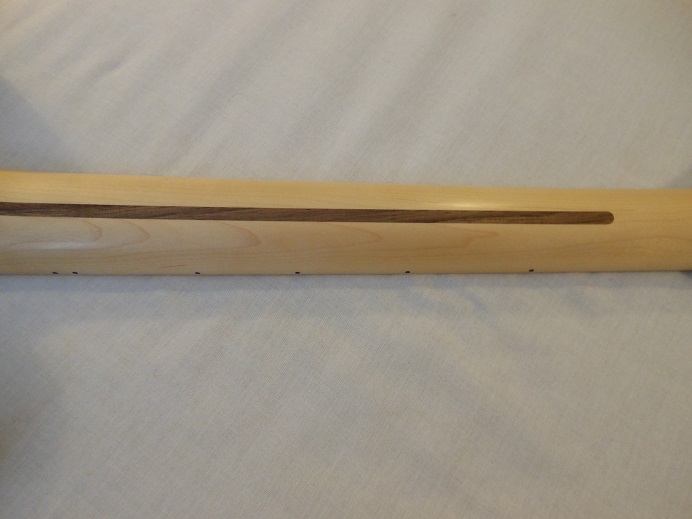 Standard Stratocaster HSS Picture 6